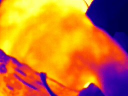 Heat map of the backside shoulder 